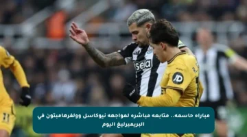 مباراة حاسمة.. متابعة مباشرة لمواجهة نيوكاسل وولفرهامبتون في البريميرليغ اليوم